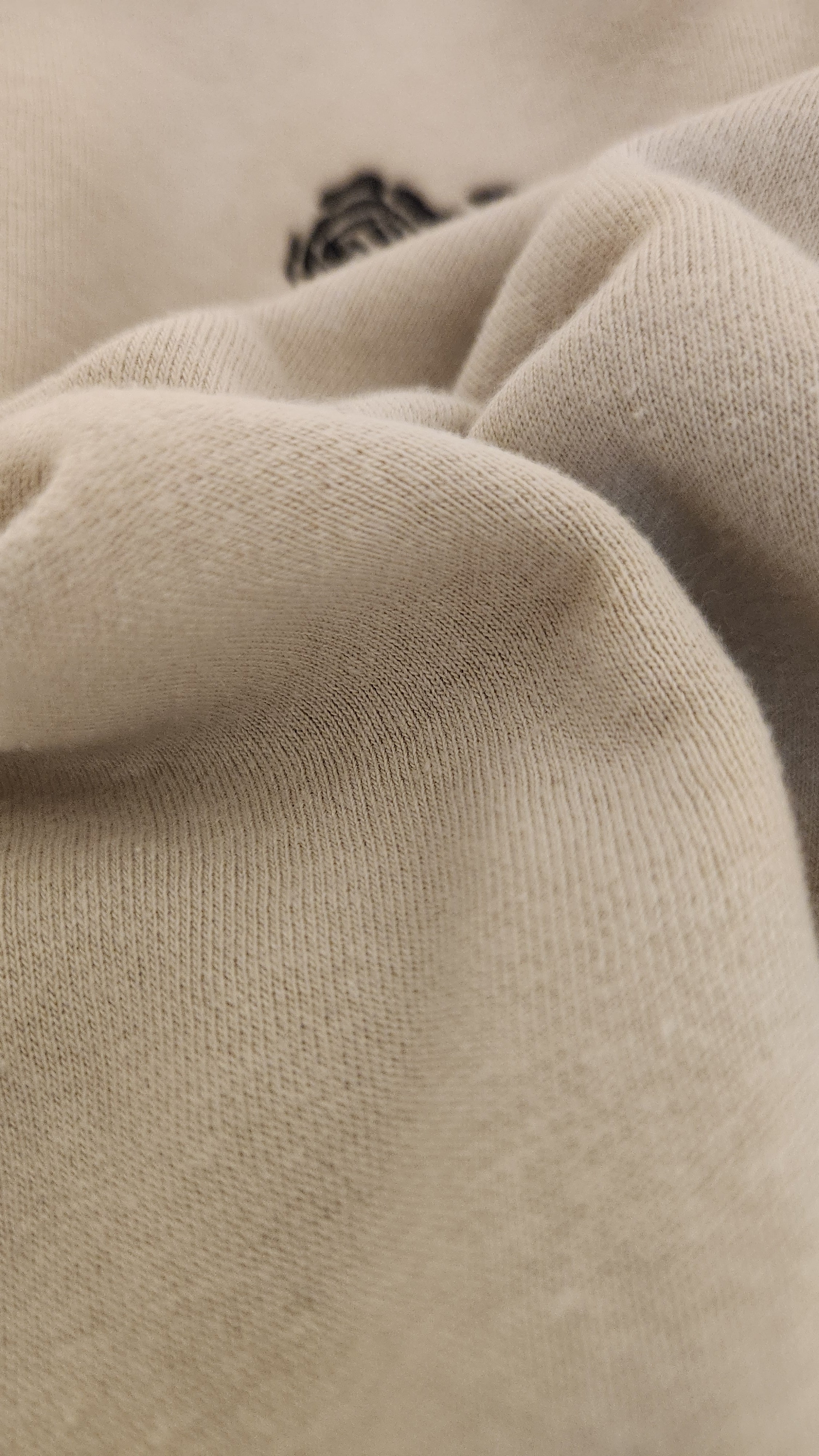 Beige Cropped Top With Rose